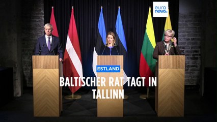 Unterstützung des Baltikums für die Ukraine