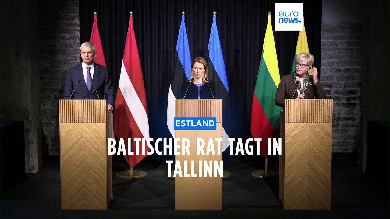 Unterstützung des Baltikums für die Ukraine