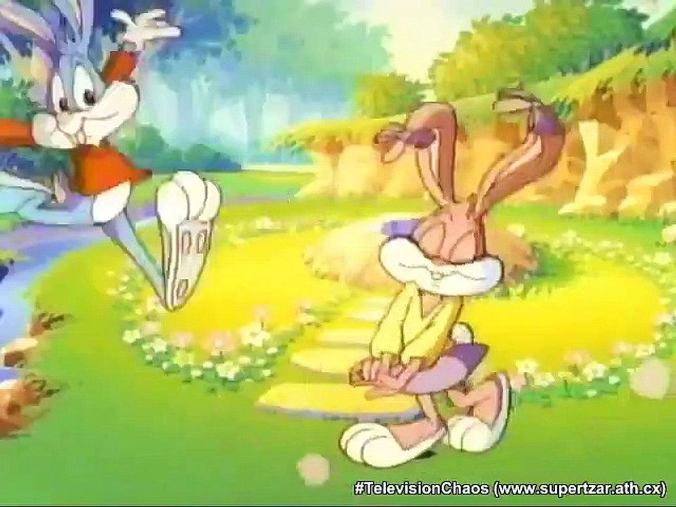 Tiny Toon Adventures - Se2 - Ep07 HD Watch