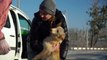 Cats and dogs rescued from frontline by Ukrainian volunteers