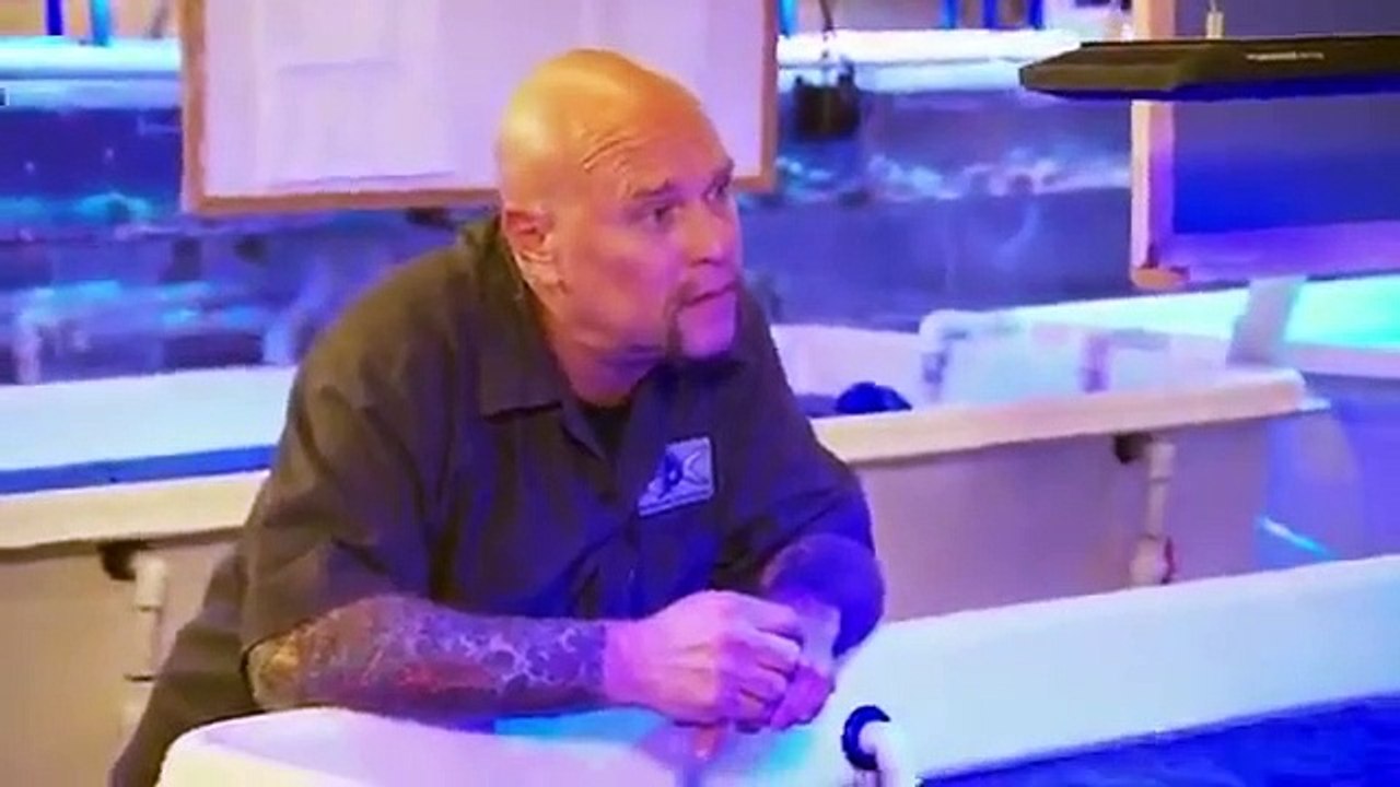 Tanked - Se9 - Ep05 HD Watch