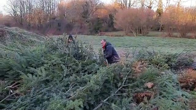 Le broyage des sapins de Noël à Bénévent l'Abbaye