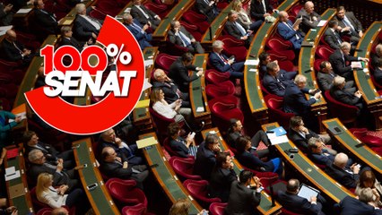100% Sénat - IVG dans la Constitution / Anti-squat/ Soignants / Ukraine
