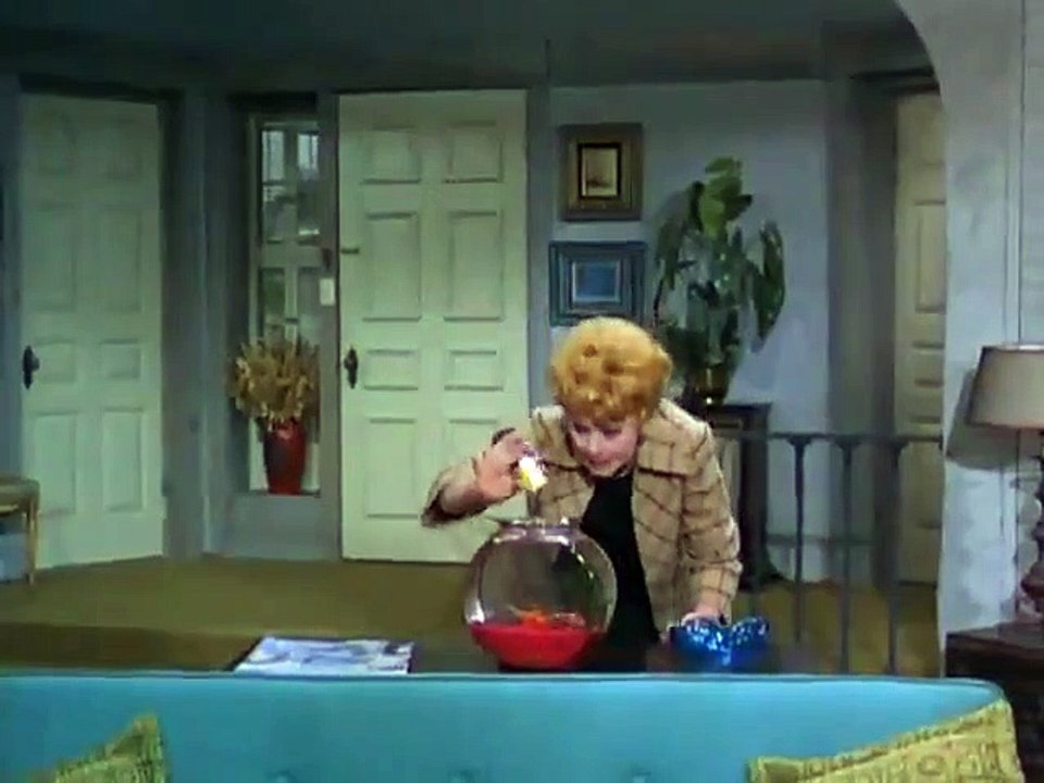 The Lucy Show - Se6 - Ep19 HD Watch