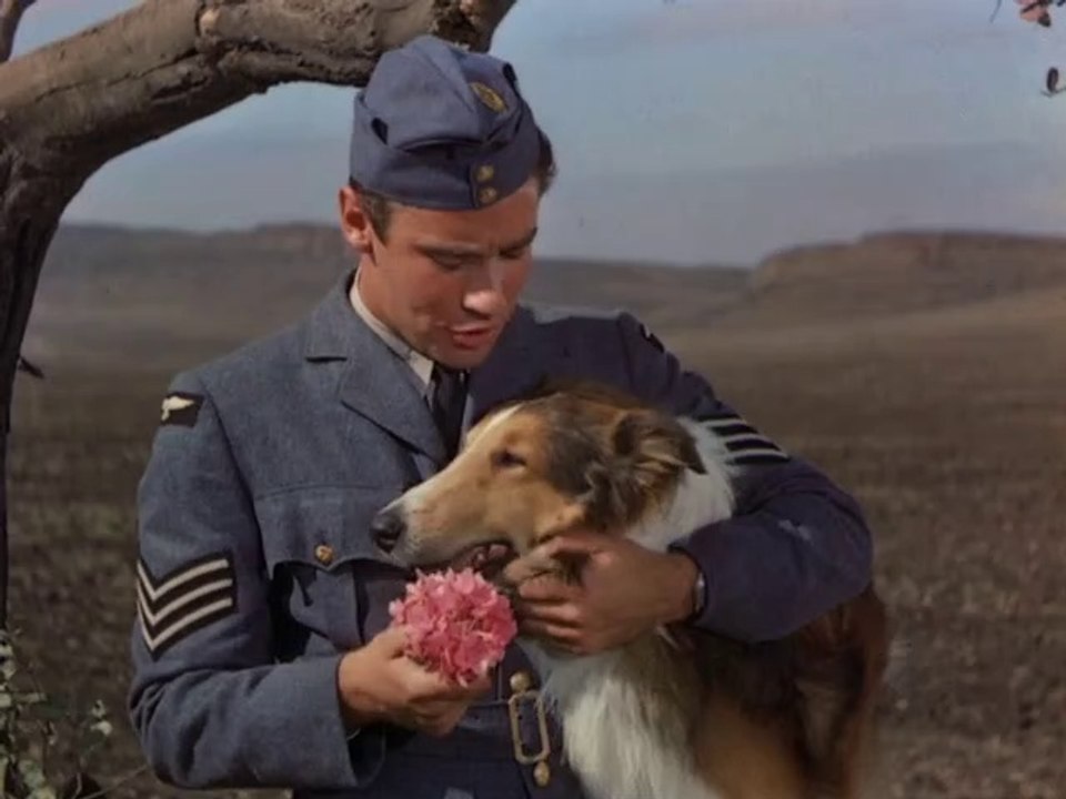 El Hijo De Lassie 1945 Español Latino Son Of Lassie Vídeo Dailymotion