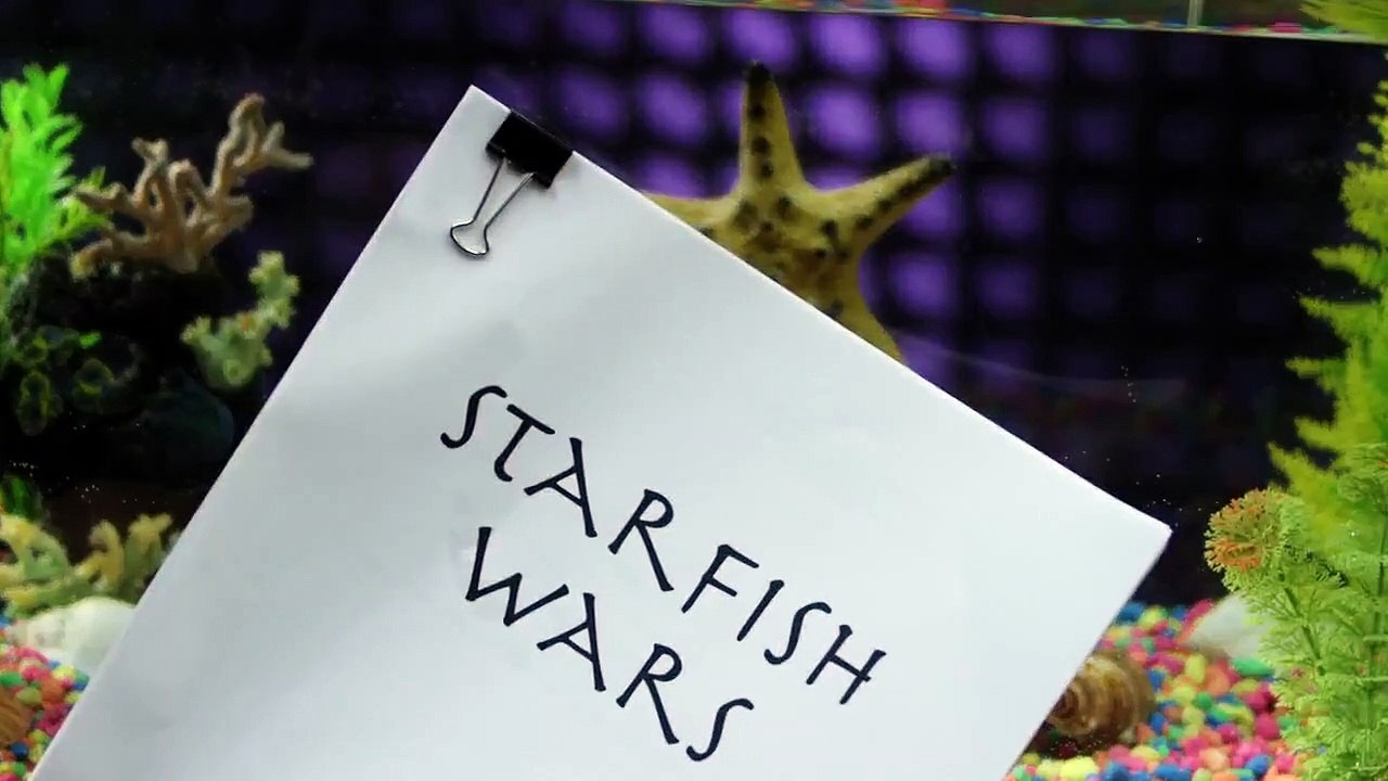 Real Rob - Se2 - Ep01 - Acupuncture $$ Spring Rolls HD Watch