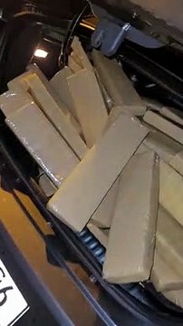 polícia apreende 373 quilos de maconha em Joinville; suspeitos estão foragidos