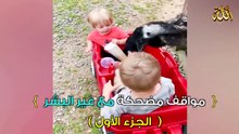مواقف مضحكة _ الجزء الأول ـ1ـ ( طرائف الحيوانات )