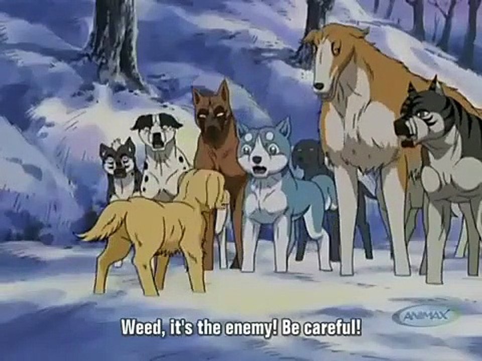 Ginga Densetsu Weed - Ep17 HD Watch