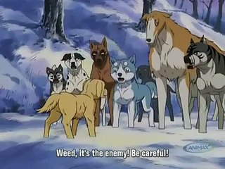 Ginga Densetsu Weed - Ep17 HD Watch