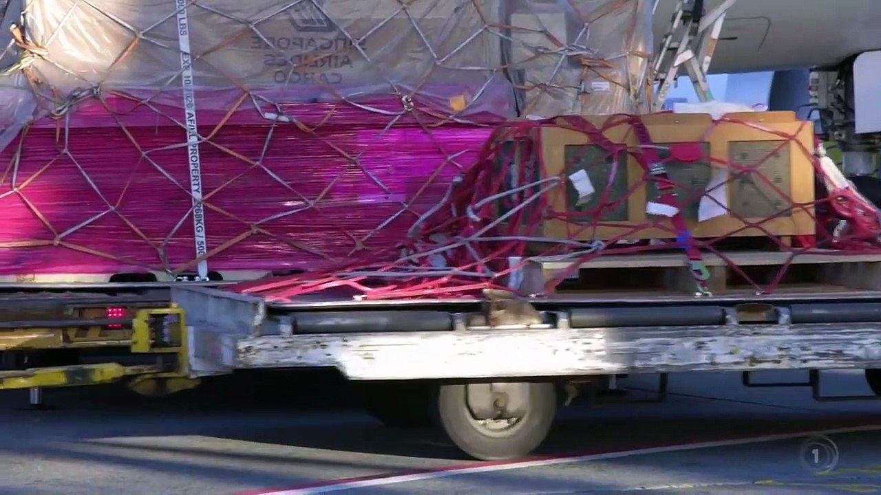 Border Patrol - Se12 - Ep12 HD Watch