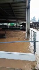 Temporal provoca alagamentos em Petrolândia