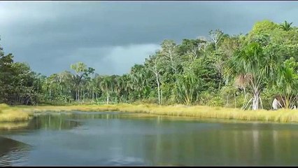 Icaros: A Vision | movie | 2017 | Official Trailer