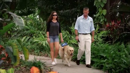 Зеница Ока | movie | 2017 | Official Trailer