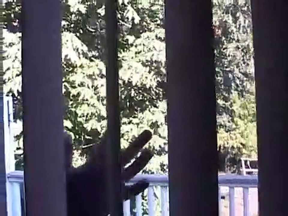 Untot - Kämpfer in der Leichenwelt | movie | 2009 | Official Trailer