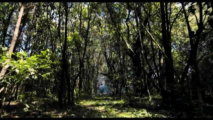 Naples '44 | movie | 2016 | Official Trailer