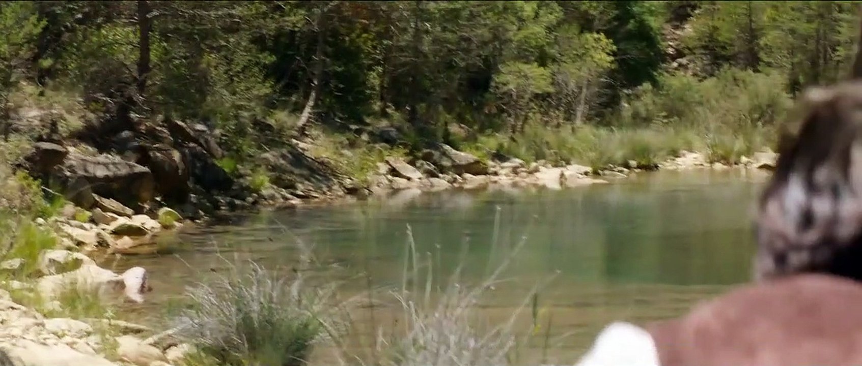 The Sisters Brothers | movie | 2018 | Official Trailer