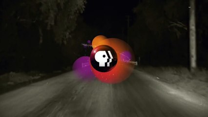 The Perfect Crime: Leopold & Loeb | movie | 2016 | Official Trailer