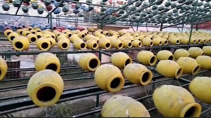 কংক্রিটের শহরে পাখিদের প্রাণ ফিরিয়ে দিয়েছে এই কৃত্রিম পাখিরালয়