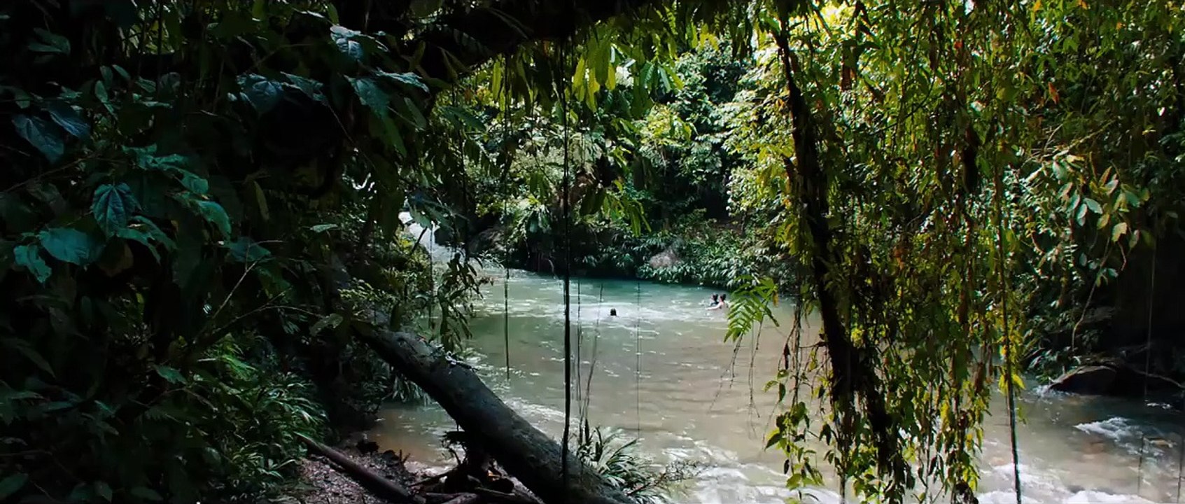 Monos | movie | 2019 | Official Trailer