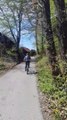 Cycling - By bike through the history of Donja Stubica, excursion - Excursions / Tours / Activities, Zabok (Donja Stubica)
