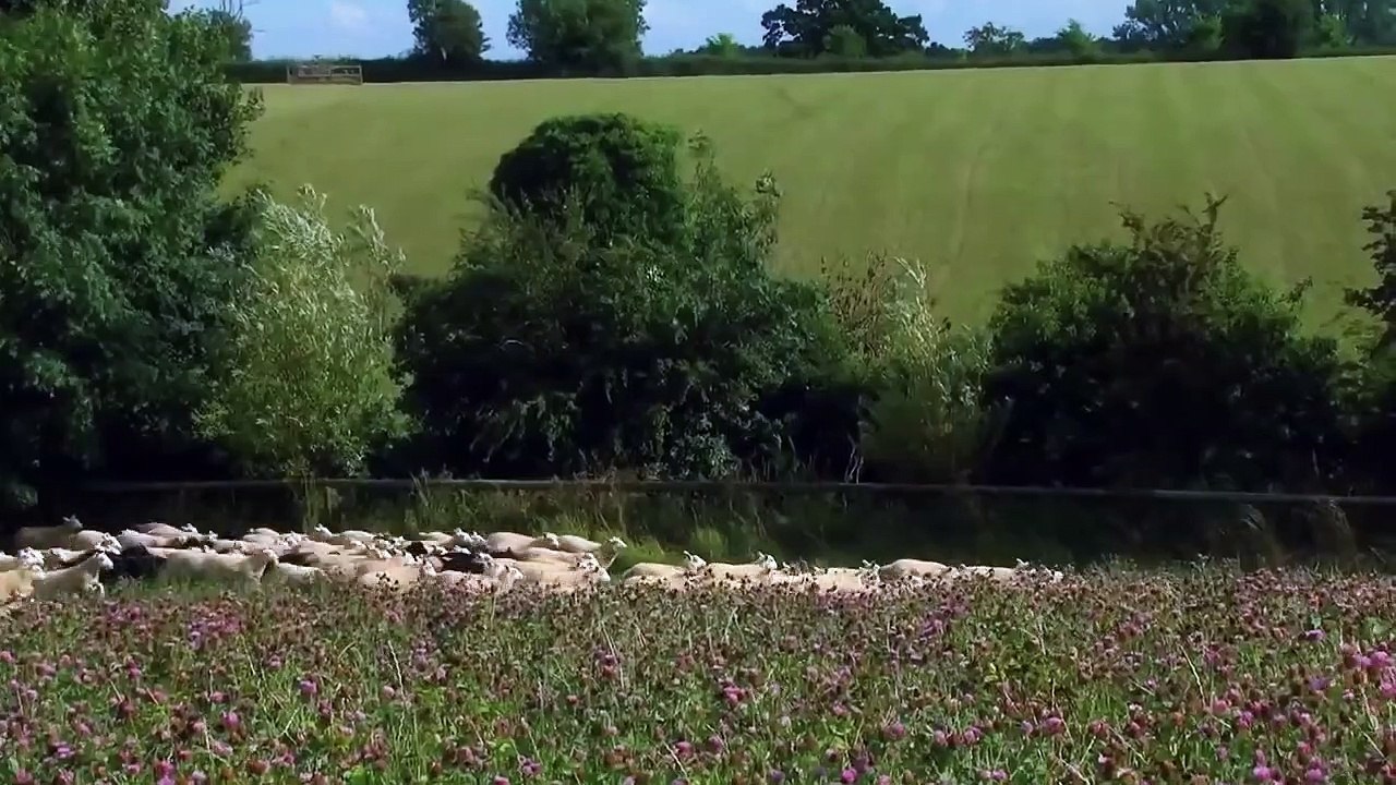 Der Bauer und sein Prinz | movie | 2014 | Official Trailer