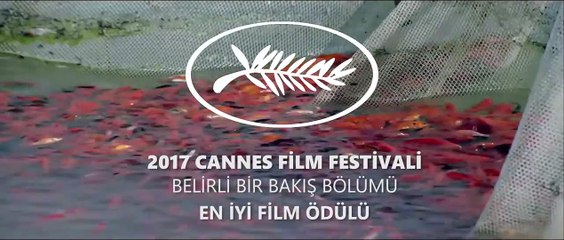 İnatçı Bir Adam | movie | 2017 | Official Trailer