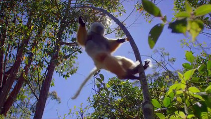 Earth: Den na zázračné planetě | movie | 2017 | Official Trailer