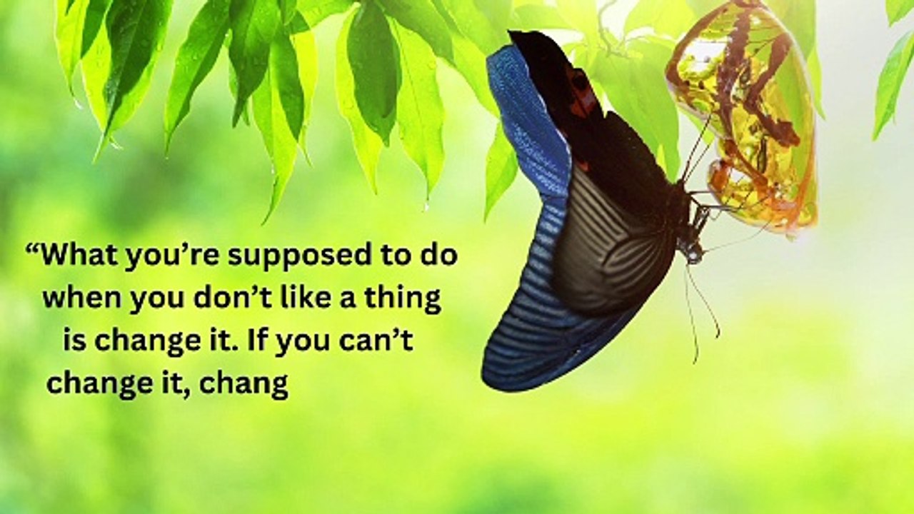 Get Enlightened by Maya Angelou Quotes || Maya Angelou Quotes That Will Change Your Life