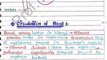 Nephron Structure And Functions Handwritten Notes in urdu/hindi _ Biology Notes