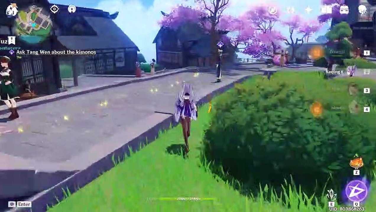 Genshin impact | Crash Course of Inazuman Fashion (Commission Quest) Guide