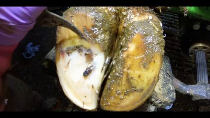 ＊HUGE＊ RUSTY SCREW PULLED out of COWS FOOT