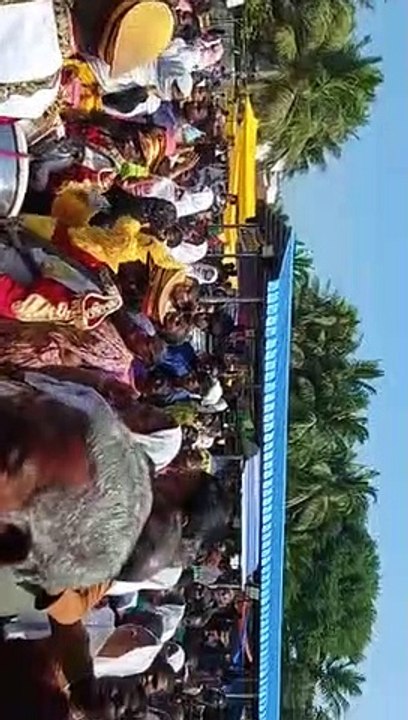 Our Native Market
