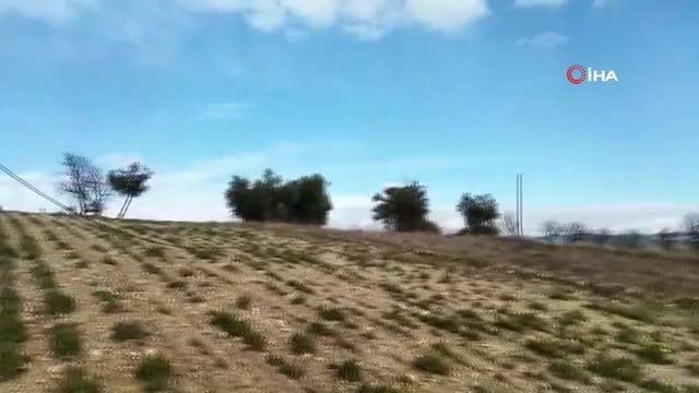 Acemi hırsızların trajedi komik soygunu hüsranla sonuçlandı