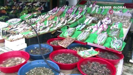 İstanbul'da tezgahlarda en ucuz balığın kilosu 60 TL!