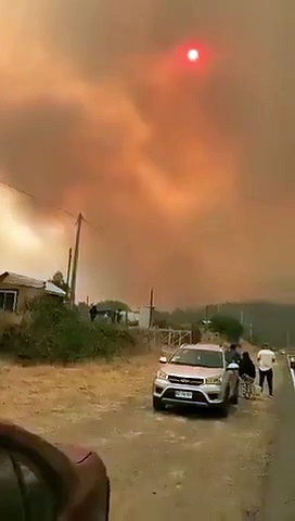 Chile Wildfire: சீலேயில் 39 இடங்களுக்குப் பரவிய பயங்கர காட்டுத் தீ
