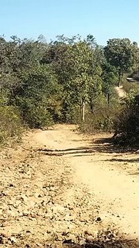 सुरक्षाबलों को मिला 10 किलो का IED बम, मौके पर ही विस्फोट कर किया नष्ट, देखें Video