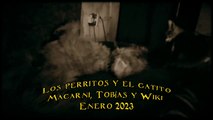 Los perritos y el gatito. Tacuarembó, Uruguay (2023)