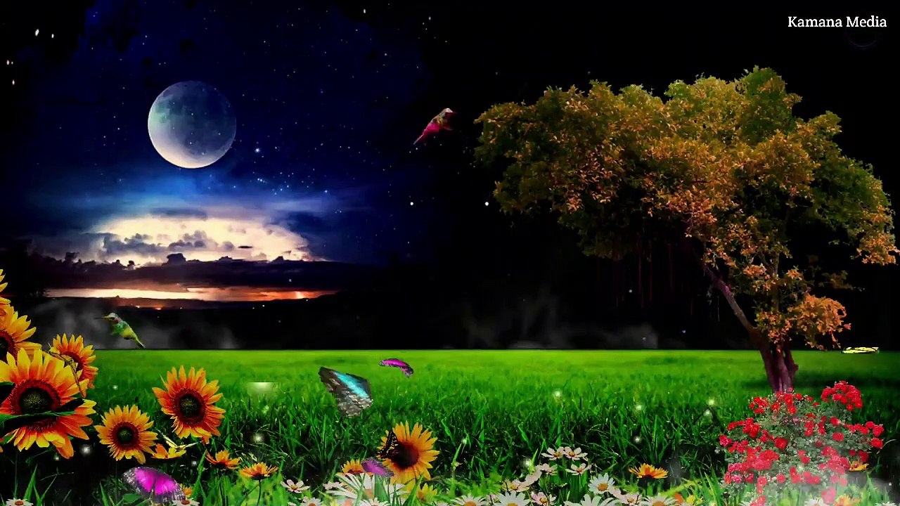 Natural background video no copyright | Night moon sky background video download