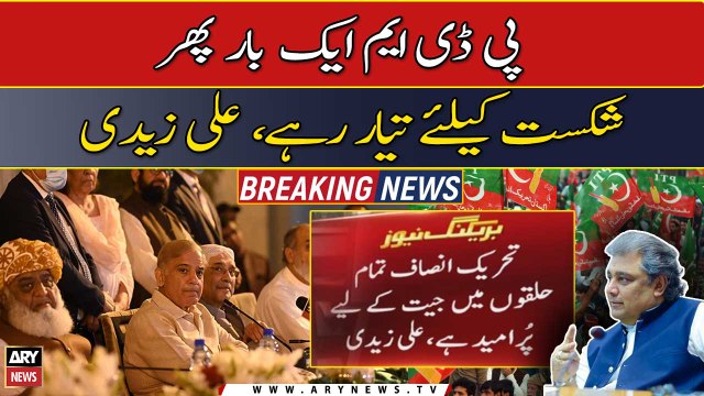 PTI is hopeful of victory in all constituencies: Ali Zaidi