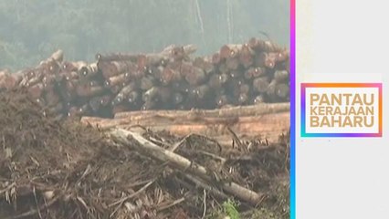 Pantau Kerajaan Baharu: Rekonsiliasi pembangunan, kemajuan dan kelestarian