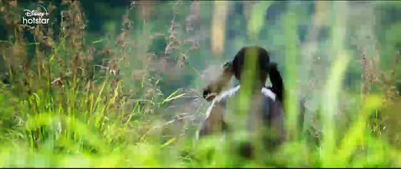 Sembi   Official Hindi Trailer   DisneyPlus Hotstar