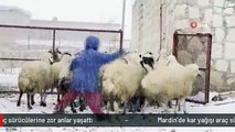 Mardin'de kar yağışı araç sürücülerine zor anlar yaşattı
