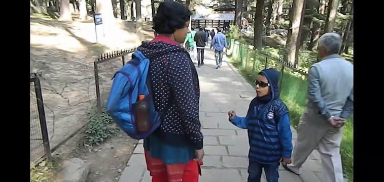 Enjoy Travelling and witness the picturesque view of Himalayan mountain with a mesmerizing journey from Shimla to Manali and return back to Delhi via Punjab