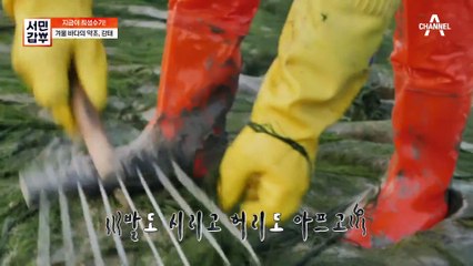 전통 시장에서 연 매출 26억 원(⊙o⊙)? ★청년 장사꾼★ 차현석!
