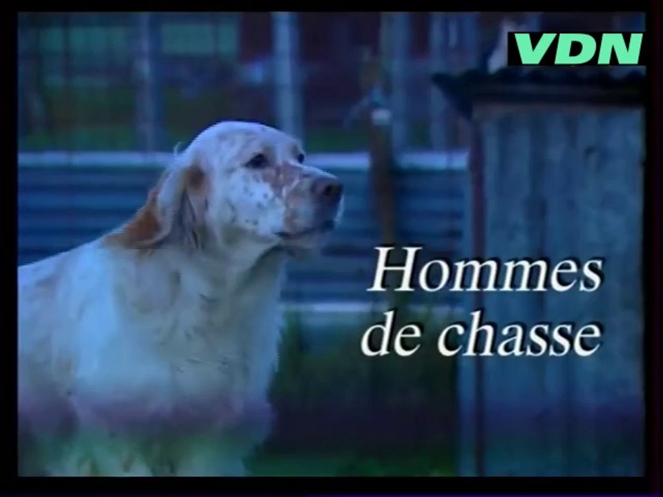 Chasse à la campagne