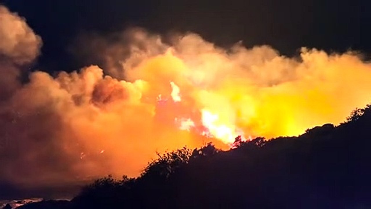 Llandudno Beach Wildfire - Buzz Buddy