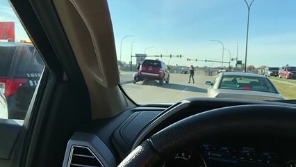 De bons samaritains aident à libérer des cerfs coincés sous un SUV - Buzz Buddy