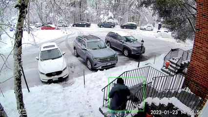 Une branche d'arbre s'écrase pendant que l'homme pellette de la neige - Buzz Buddy