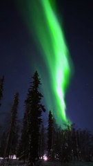 Aurores boréales aériennes géantes - Buzz Buddy